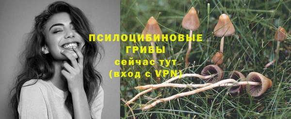 spice Надым