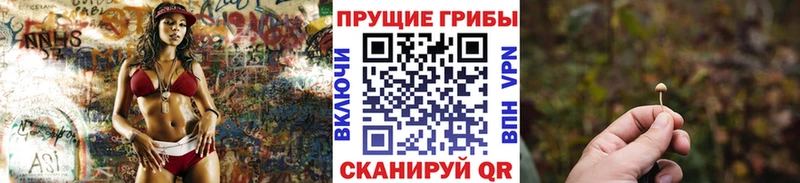 купить   Мегион  Галлюциногенные грибы ЛСД 