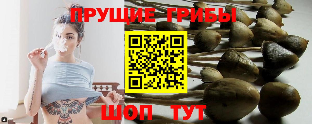 Галлюциногенные грибы Psilocybine cubensis  Галлюциногенные грибы мухоморы  Вход с VPN  Мегион 